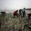 Mangrove Ecosystem Restoration Initiative